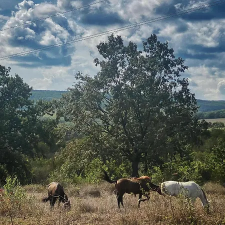 The Cliff Lux Obzor, Burgas, Bulgaria * Obzor
