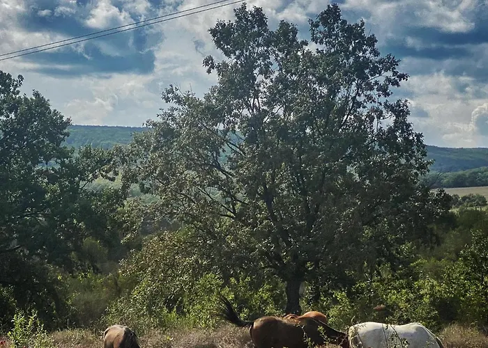 The Cliff Lux Obzor, Burgas, Bulgaria * Obzor