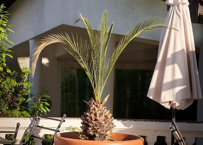 Apartment The Cliff Lux Obzor, Burgas, Bulgaria Obzor