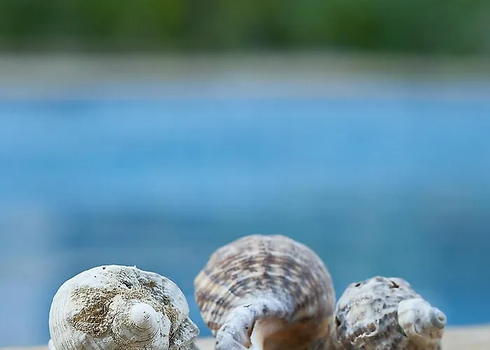 The Cliff Lux Obzor, Burgas, Bulgaria Apartment *